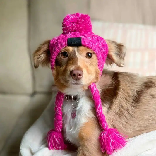Knitting Hat For Pets With Pompom And Pigtails In Pink