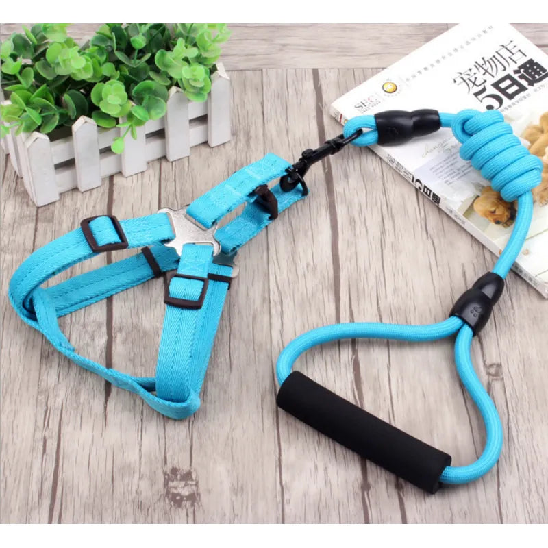 Adjustable Dog Harness With Lead In 5 Colours