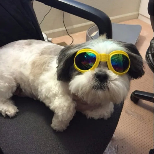 Dog Goggles Uv Protective Goggles In 7 Colours For Dogs