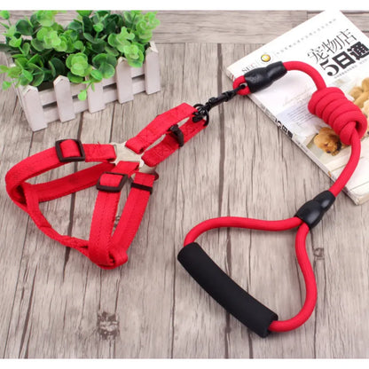 Adjustable Dog Harness With Lead In 5 Colours