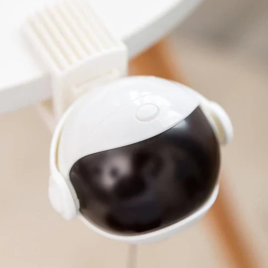 Automatic Cat Toy