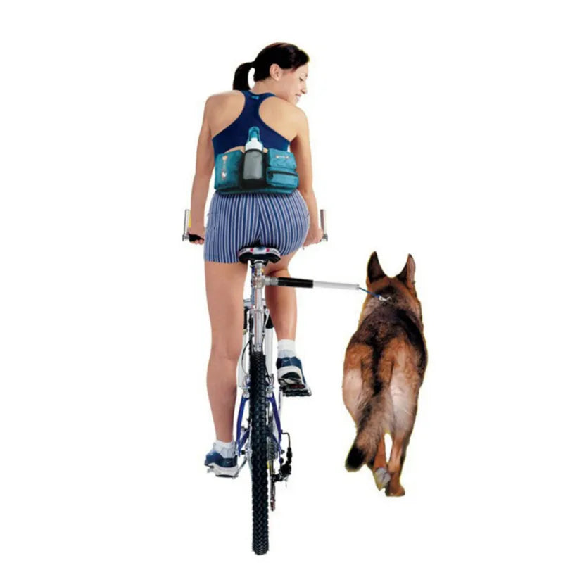 Bicycle Dog Leash With Suspension For Safe Cycling And Dog Walking