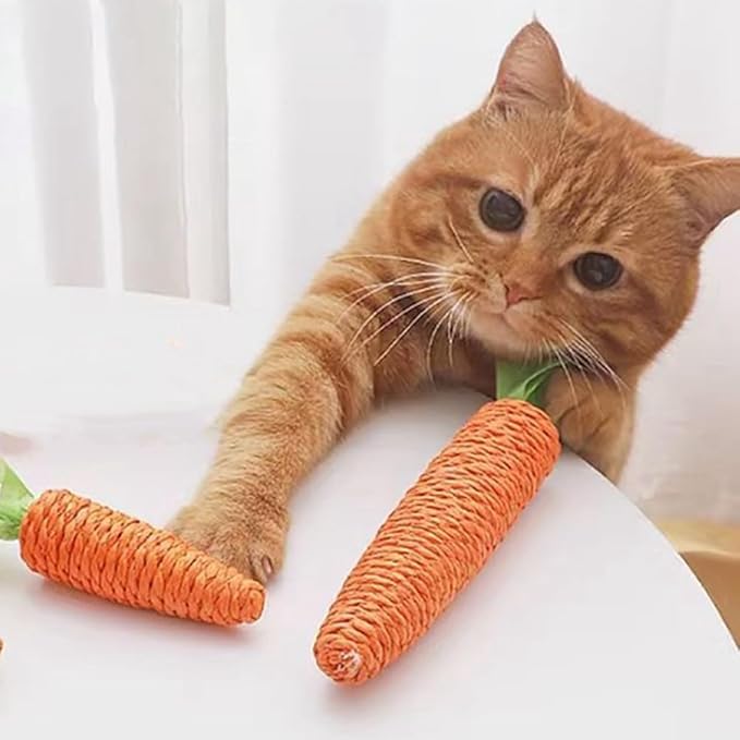 Cat Scratching Carrot - Interactive Sisal Toy For Playful House Cats