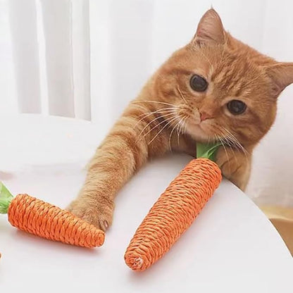 Cat Scratching Carrot - Interactive Sisal Toy For Playful House Cats