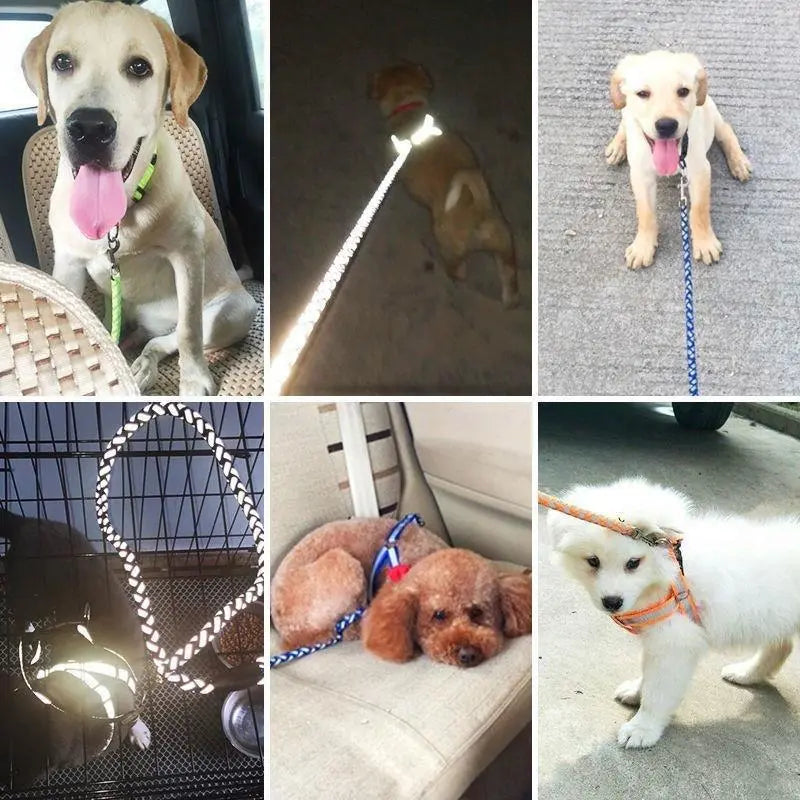 Reflective Dog Harness With Lead - Safe Set For Walks In The Dark