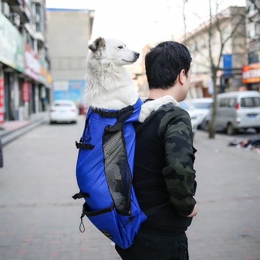 Travel Backpack With Mesh Pockets - Robust Design Adjustable Straps