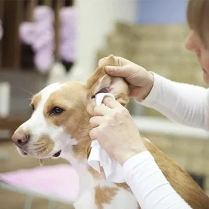 Ear Care Powder For Pets