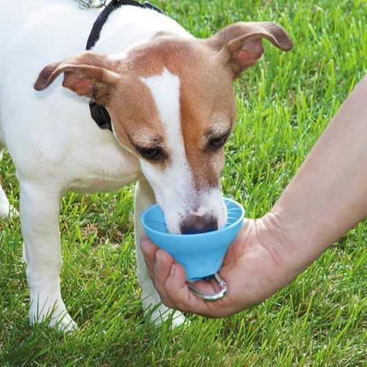 Portable Drinking Bottle For Pets With Integrated Bowl And Carabiner