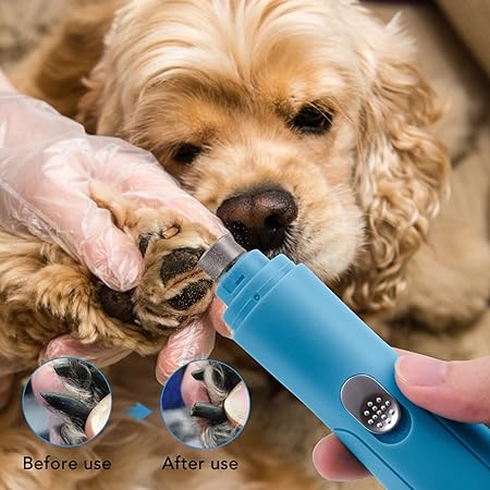 Electric Claw Grinder for Pets with Usb Charging