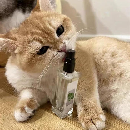 Silverwine Cat Spray