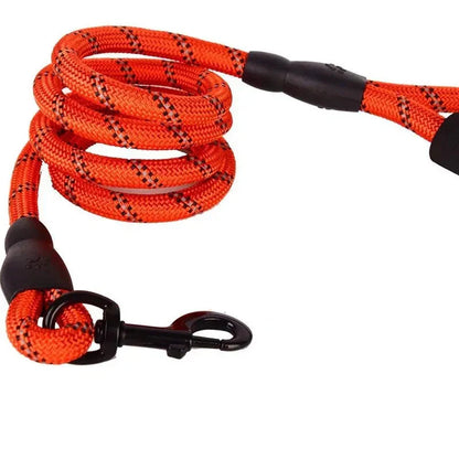 Adjustable Nylon Dog Lead With Padded Handle - Robust And Non - Slip Design