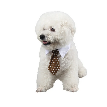 Elegant Pet Collar With Tie For Dogs And Cats