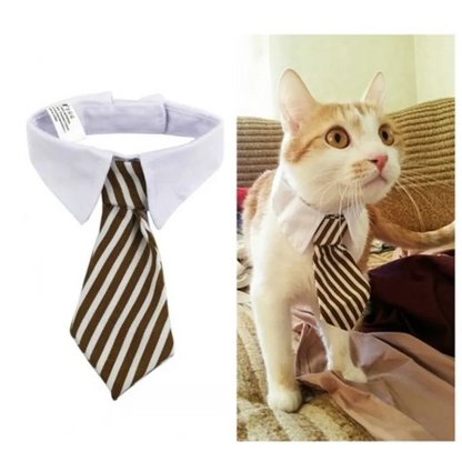 Elegant Pet Collar With Tie For Dogs And Cats