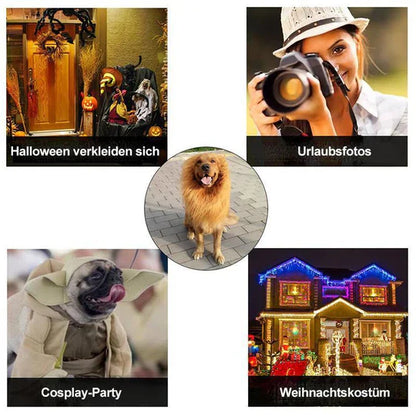 Lion 's Mane Dog Costume