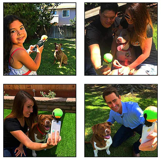 Interactive Ball Toy For Pets