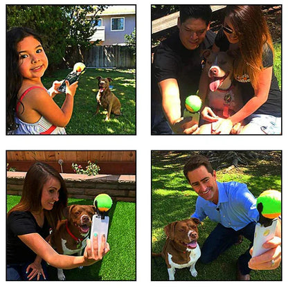 Interactive Ball Toy For Pets
