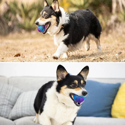 Durable Chew Ball For Dogs