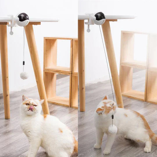 Automatic Cat Toy