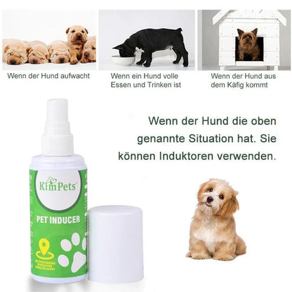 Instructions For The Targeted Placement Of The Pet Toilet
