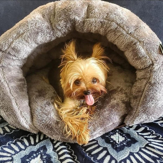 Cozy Cave Bed for Dogs for Relaxation
