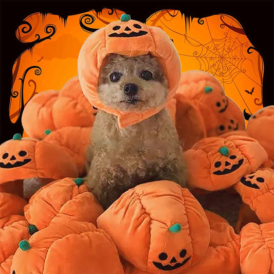 Cute Halloween Pumpkin Dog Costume - With Smiling Pumpkin Design For Small Dogs