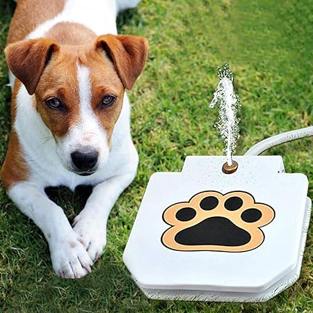 Interactive Dog Toy with Water Fountain