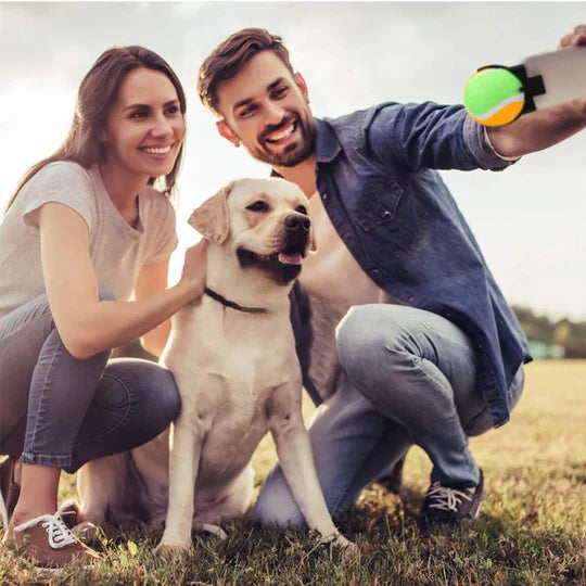 Interactive Ball Toy For Pets