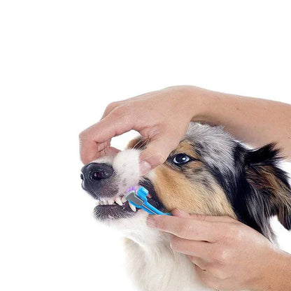 3 - Head Dog Toothbrush - Effective Cleaning For Healthy Teeth