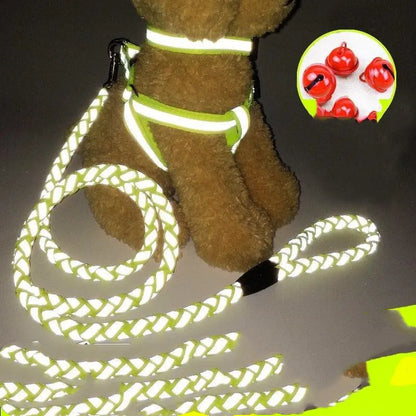Reflective Dog Harness With Lead - Safe Set For Walks In The Dark