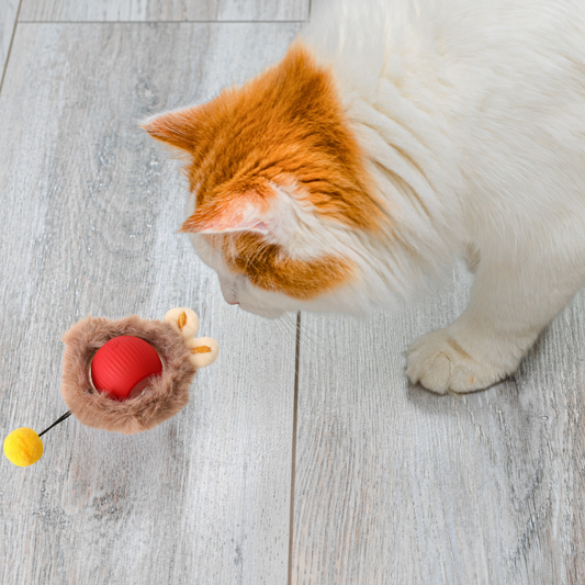 Interactive Play Ball With Fur For Cats