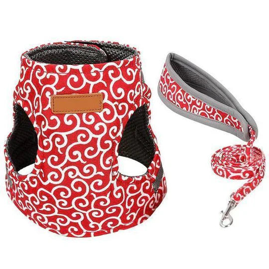 Breathable Cat Harness With Lead For Outdoor Walks