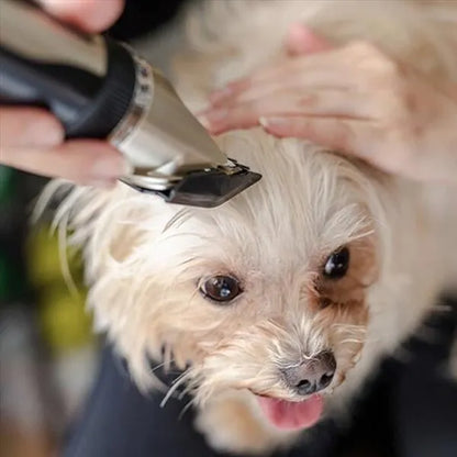 Silent Fur Trimmer Set For Dogs
