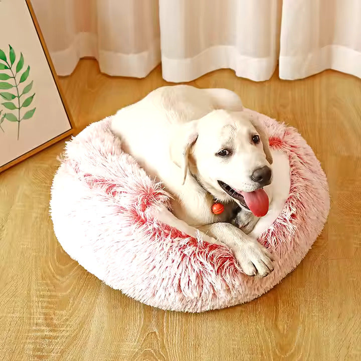 2-in-1 Dog Cozy Cave