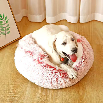 2-in-1 Dog Cozy Cave
