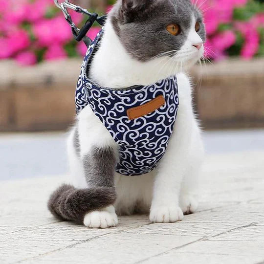 Breathable Cat Harness With Lead For Outdoor Walks
