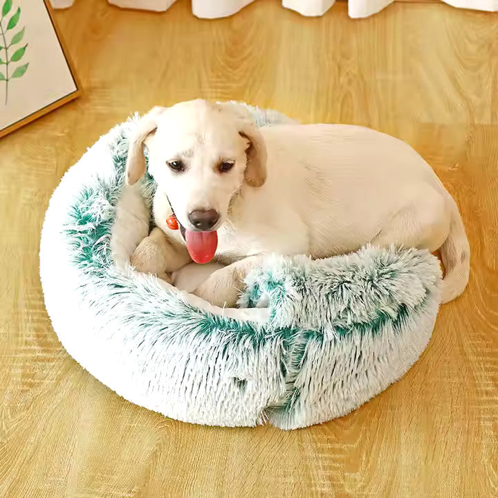 2-in-1 Dog Cozy Cave
