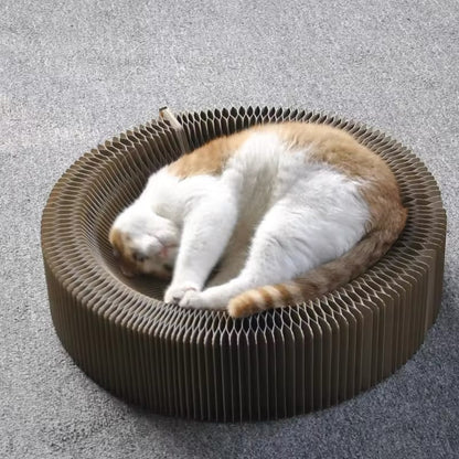 Magic Play And Scratching Bed For Cats