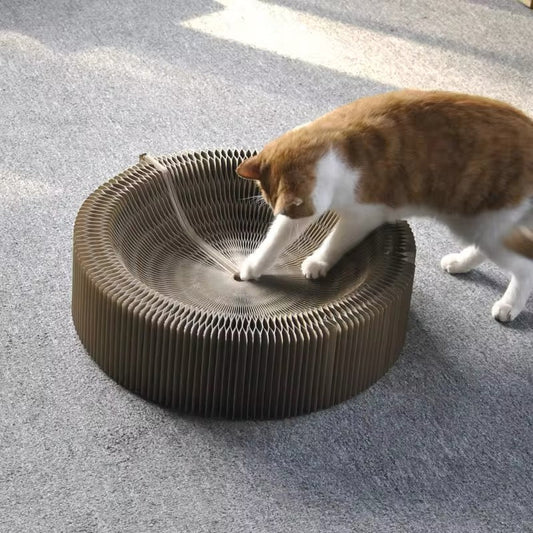 Magic Play And Scratching Bed For Cats