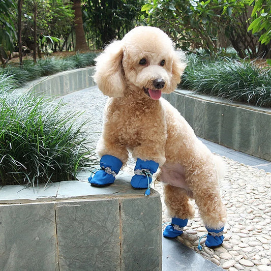 Dog Paw Shoes For The Winter