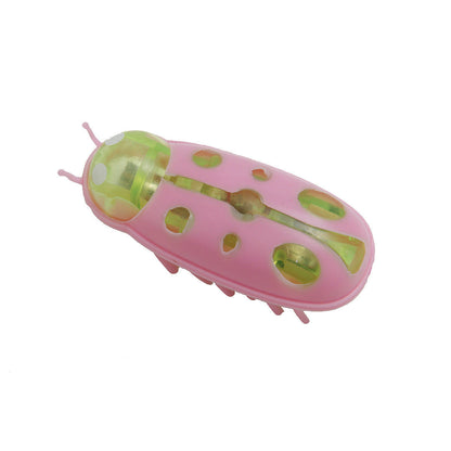 Cat Cockroach Toy