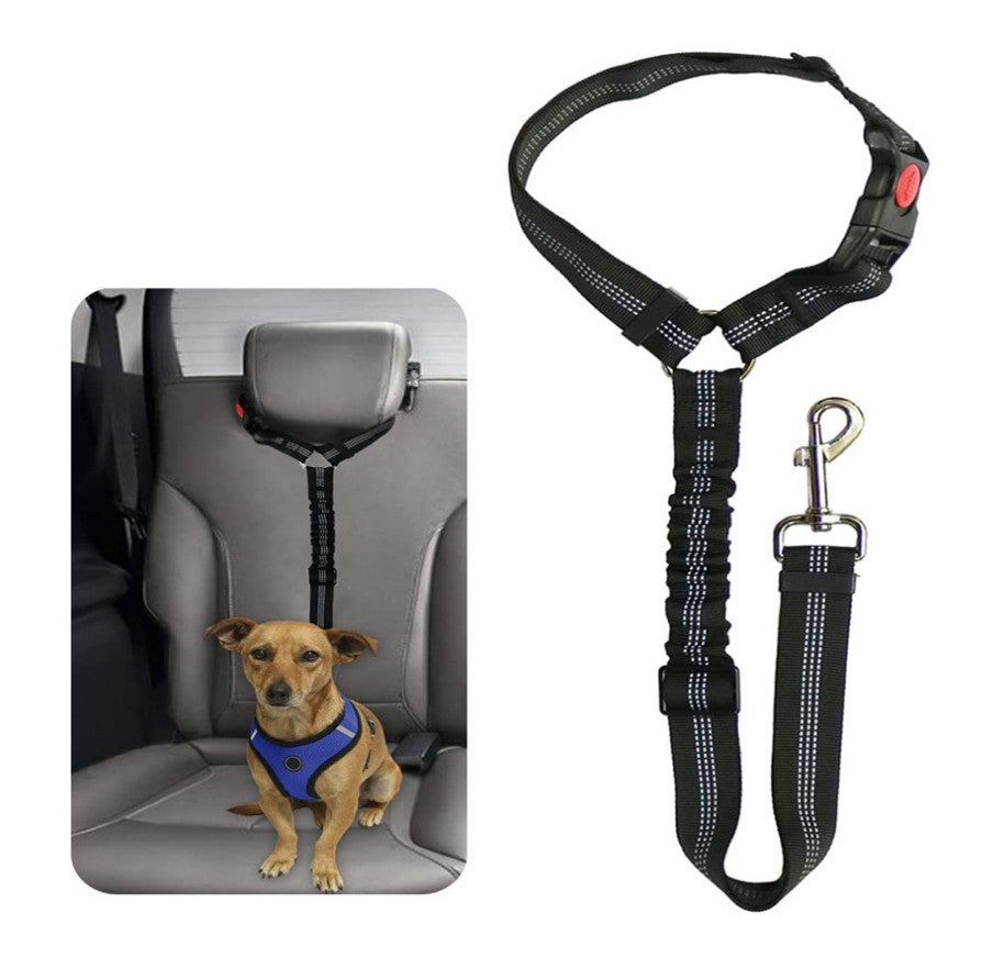 Dog Car Seat Belt