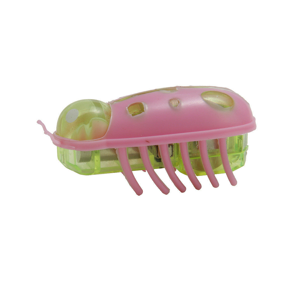 Cat Cockroach Toy