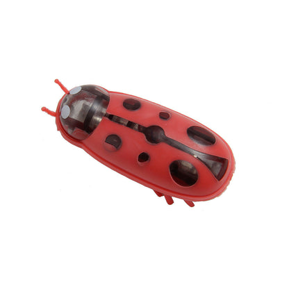 Cat Cockroach Toy