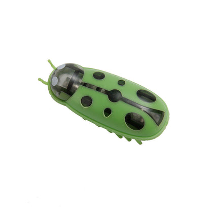 Cat Cockroach Toy