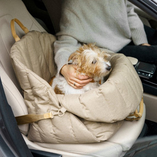 2-in-1 Luxury Dog Car Bag