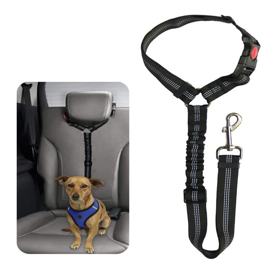 Dog Car Seat Belt