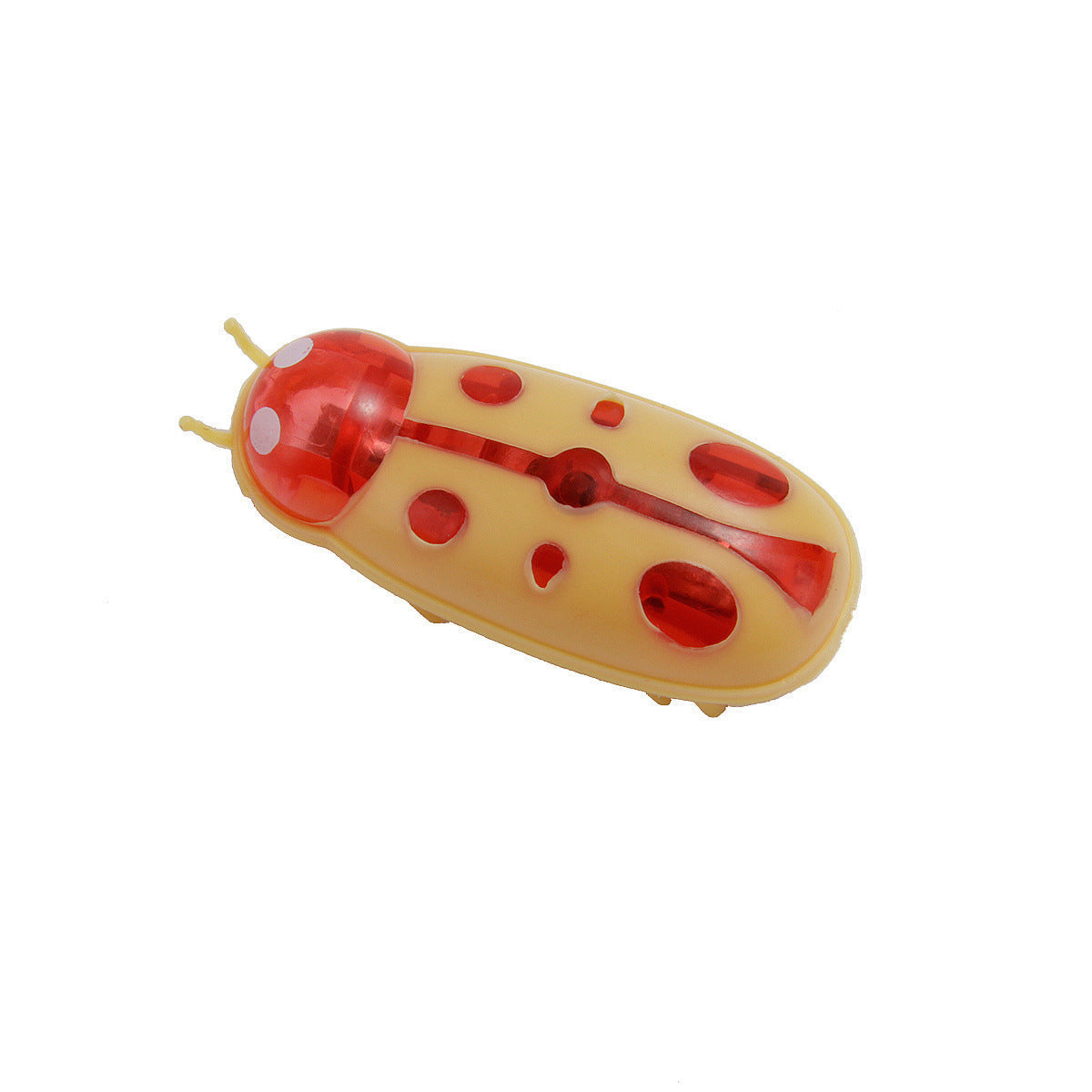 Cat Cockroach Toy