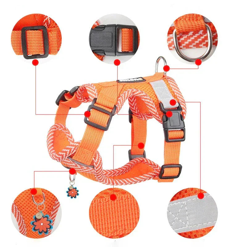 Reflective Dog Harness with Leash for Small Dogs