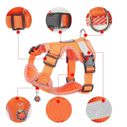 Reflective Dog Harness with Leash for Small Dogs