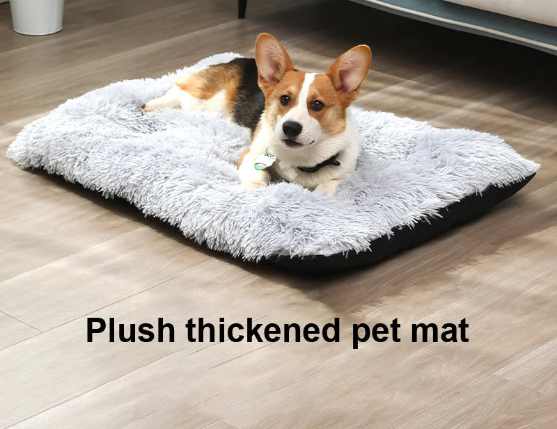 PlushPaws Dream Mat